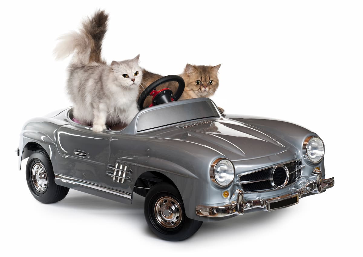 猫さんのカー用品