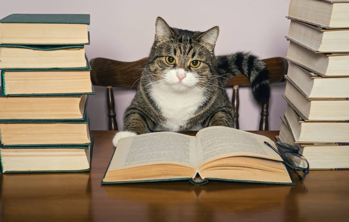 猫さんの衛生に役立つ書籍